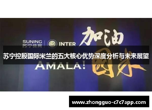苏宁控股国际米兰的五大核心优势深度分析与未来展望 苏宁控股国际米兰的五大核心优势深度分析与未来展望