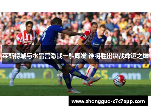 莱斯特城与水晶宫激战一触即发 谁将胜出决战命运之巅 莱斯特城与水晶宫激战一触即发 谁将胜出决战命运之巅