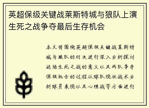 英超保级关键战莱斯特城与狼队上演生死之战争夺最后生存机会